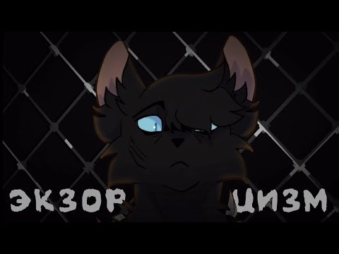 Видео: Бич:«Экзорцизм»//Коты Воители