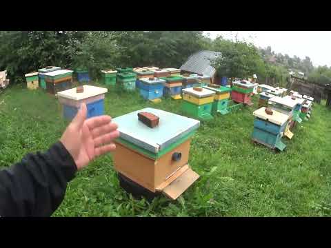 Видео: ГОТОВИМСЯ К ОТКАЧКЕ 2024