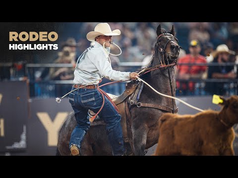Видео: Самые быстрые маршруты с привязными веревками, которые вы увидите за весь год 🤯