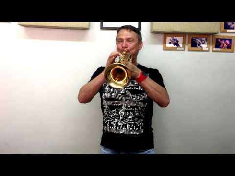Видео: Обзор реверсивной, именной  трубы Shagerl James Morrisson JM1-L. Shagerl JM1-L trumpet review.