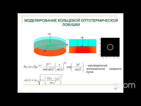 Видео: Котова C.П. "Оптотермические ловушки для манипуляции микроскопическими объектами" 08/06/2022