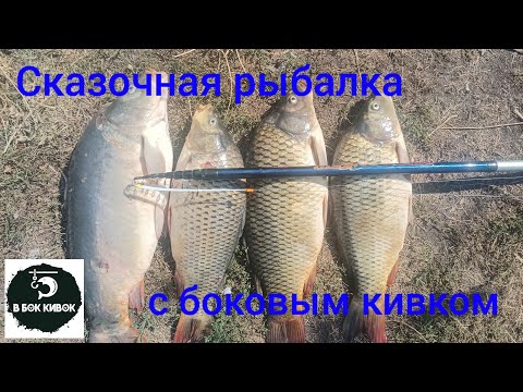 Видео: Я попал в рай для рыбаков!!!! Рыбалка просто сказка!!!