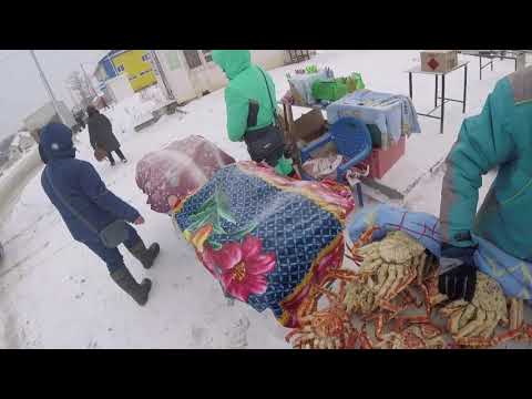 Видео: 07.12.18 г Поехали к дочери на лыжную базу