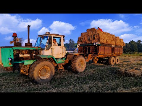Видео: Тюкуєм солому ЮМЗ-6 і Т-150К Ціни🤦‍♂️