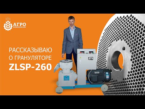 Видео: Гранулятор ZLSP-260. Принцип работы гранулятора и особенности производства матриц.