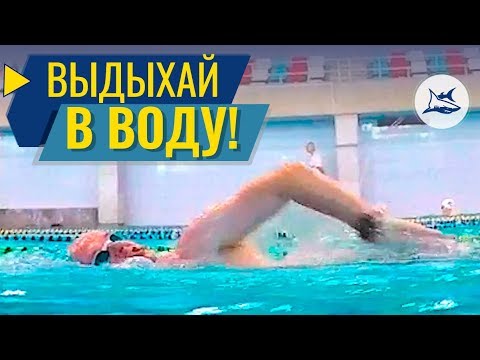 Видео: РАЗБОР ТЕХНИКИ ПЛАВАНИЯ КРОЛЕМ. ВЫДЫХАЕМ В ВОДУ, СИММЕТРИЯ ГРЕБКОВЫХ ЦИКЛОВ