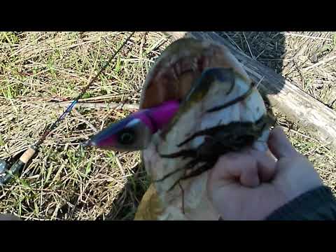 Видео: Весенний трофей
