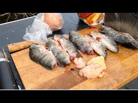 Видео: Зимняя рыбалка. Из лунки прям на сковородку