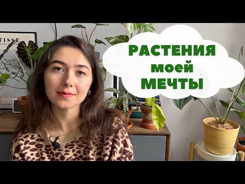 Видео: 10 РАСТЕНИЙ из моего ВИШЛИСТА / Растения, о которых я мечтаю