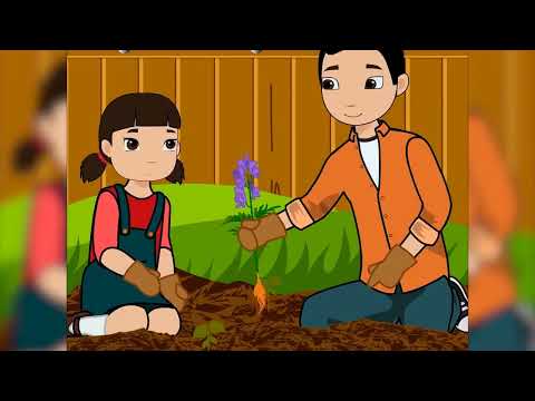 Видео: 1 сынып  Өсімдіктердің бөліктері Trim