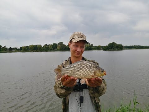 Видео: КАРАСЬ НА ФИДЕР, ловля карася в пруду, ночная рыбалка