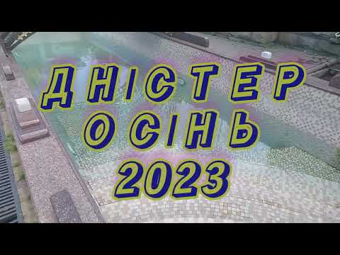 Видео: Рибалка Дністер осінь 2023