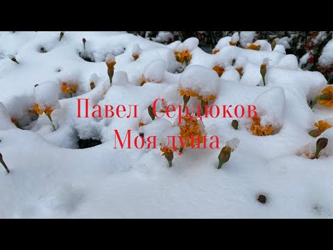 Видео: Павел Сердюков  Моя душа (фонограмма)