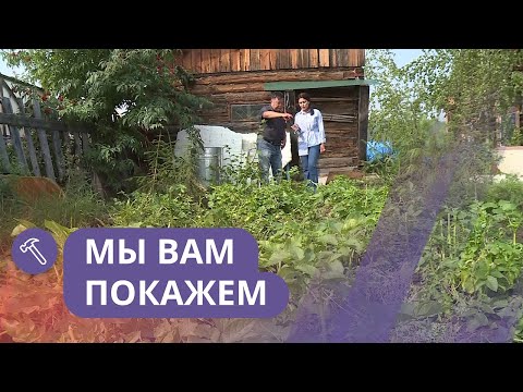 Видео: Мы вам покажем: Раскрываем секрет богатого урожая