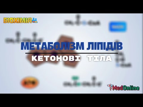 Видео: Метаболізм Ліпідів | Кетогенез та Кетоліз, Кетоацидоз
