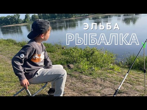 Видео: РЫБАЛКА НА ЭЛЬБЕ / РЫБАЛКА В ГЕРМАНИИ / СЕМЕЙНЫЙ ОТДЫХ НА ПРИРОДЕ / ПЕРВЫЙ УЛОВ