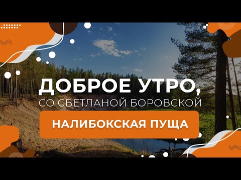 Видео: Налибокская пуща | "Доброе утро, Беларусь! со Светланой Боровской"