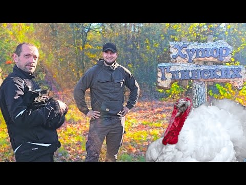 Видео: Среди лесов Беларуси🌲нашли заброшенный хутор🏡! Мечта или головная боль?🤕 Решили четыре проблемы 👍