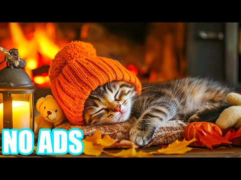 Видео: 12 часов успокаивающего фортепиано для кошек. Мягкая гармония для успокоения сердца. Релаксация и ис