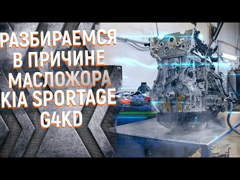 Видео: G4KD Проблемы масложора на Kia Sportage найдены