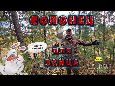 Видео: Солонец для зайца !! Как сделать быстро и легко от Берлоги 86 ! 2 способа ! ПОДПИШИСЬ !!