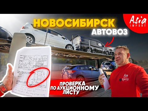 Видео: Тачки из Японии в Новосибирск за 36 дней!!!
