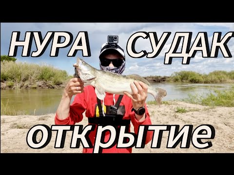 Видео: 22.05.2024 Нура/Судак/Открытие летнего сезона#врек #судак #нура #рекомендации #рыбалка