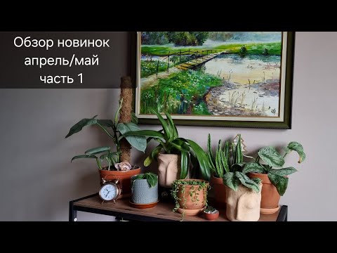 Видео: Обзор новинок апрель/май. Часть 1