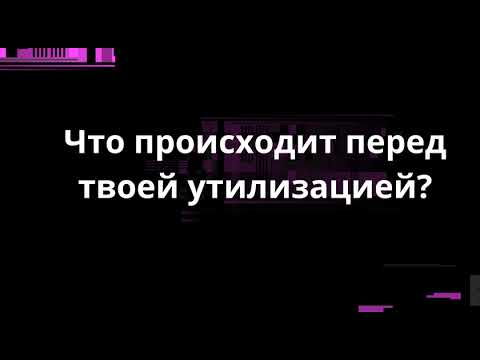 Видео: Что происходит перед твоей утилизацией?