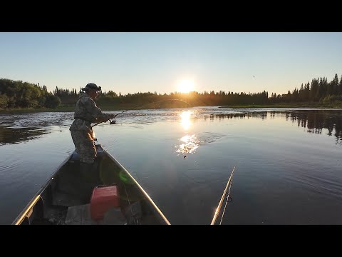 Видео: РЫБАЛКА НА РЕКЕ ТИМАНА. ЛОВЛЯ РЫБЫ НА СПИННИНГ С ЛОДКИ ПИЖЕМКА. РЫБАЛКА НА КРАЙНЕМ СЕВЕРЕ.