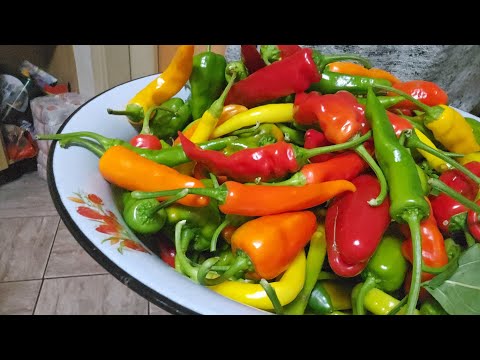 Видео: 4 Ноября .Доброе утро мои дорогие друзья💞💝💙