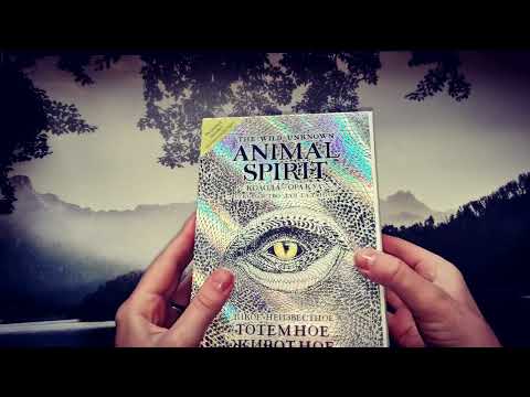 Видео: Обзор важных моментов оракула "Дикое неизвестное тотемное животное" Animal Spirit