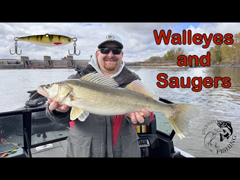 Видео: Ноябрьские судаки и судачки на реке Миссисипи