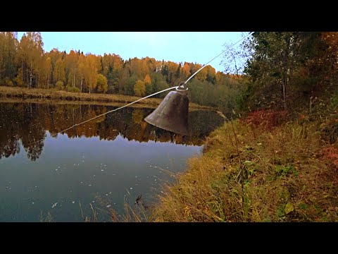 Видео: Налим на донки. Рыбалка с ночевкой в тайге.