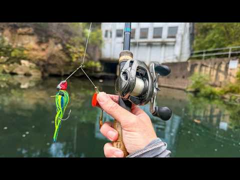 Видео: Есть ли в этой реке окунь за 10 тысяч долларов?
