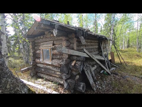 Видео: Коварные северные болота,жизнь в тайге, маленькое чудо, поход на 4 дня #2