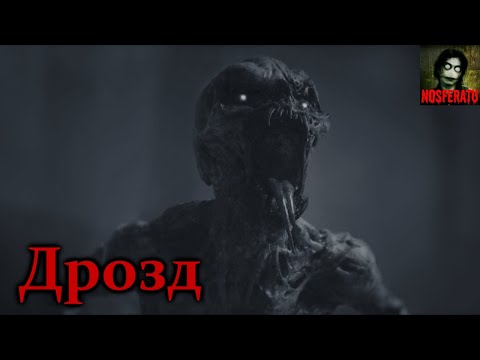 Видео: ДРОЗД. Страшные истории на ночь. Страшилки на ночь