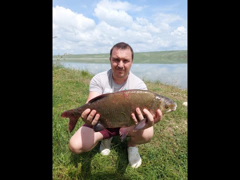 Видео: Егорлыкское водохранилище. Ставропольский край 26-28 мая 2023