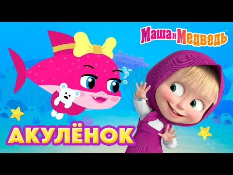 Видео: Маша и Медведь💥 НОВАЯ ПЕСЕНКА! 💥 АКУЛЁНОК 🦈 🫧🩵 Коллекция мультиков про Машу