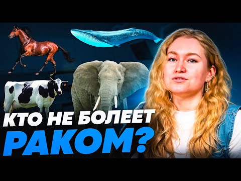 Видео: Какие животные не болеют раком и почему