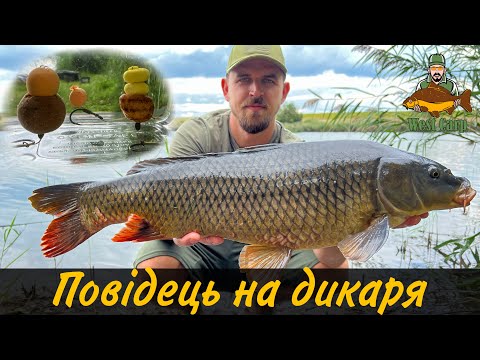 Видео: Рибалим на дикій водоймі та в’яжемо повідці з кільце та резинкою)