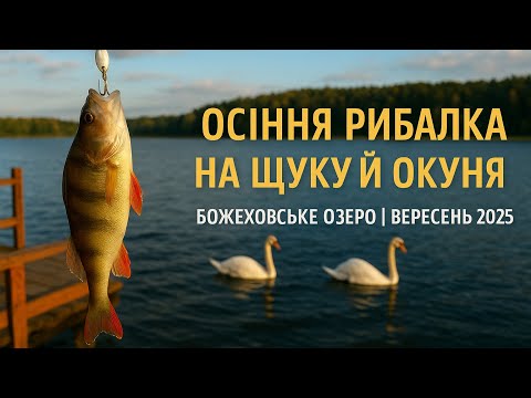 Видео: 🇵🇱 🎣Як окуні побилися за силікон… | Божеховське озеро | Кінець вересня 2025