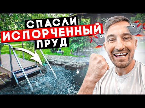 Видео: ПРУД ДЛЯ ПЛАВАНИЯ: Что нужно знать? | Спасли испорченный пруд на участке | Реконструкция пруда