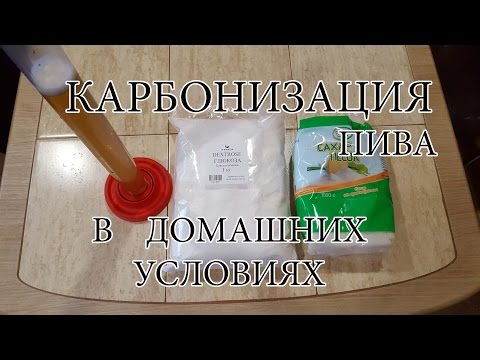 Видео: Карбонизация пива в домашних условиях. Три метода. Три вида сырья