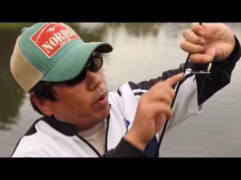 Видео: Блесны для ловли форели Trout ZX и Boon от японского бренда NORIES. Семинар Jun Hayakawa в Москве.