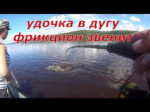 Видео: Дикий клёв щуки. Рыбалка с лодки.
