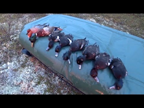 Видео: ВЕСЕННЯЯ ОХОТА НА УТКУ / ОХОТА НА КРАЙНЕМ СЕВЕРЕ / Duck hunting