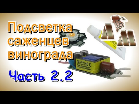 Видео: 🍇 Светодиодная подсветка саженцев винограда. Часть 2.2