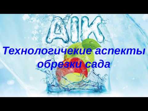 Видео: Обрезка сада (семинар Мичуринск 2019)