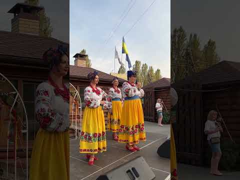 Видео: Лісапетний Батальйон виступ в ресторані на софіївській Борщагівці